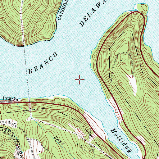 Topographic Map of Holliday Brook, NY