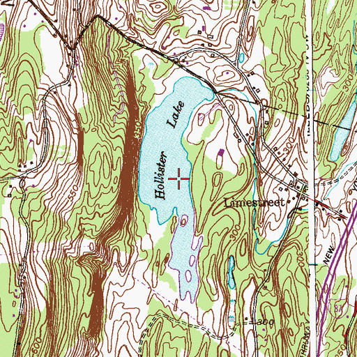 Topographic Map of Hollister Lake, NY