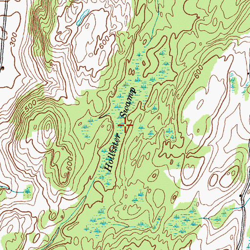 Topographic Map of Hollister Swamp, NY