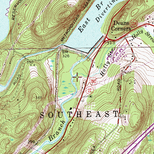 Topographic Map of Holly Stream, NY
