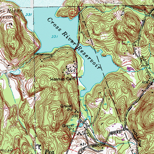 Topographic Map of Holmes Cemetery, NY