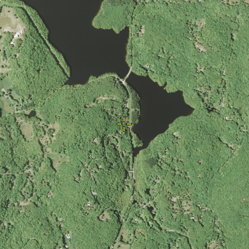 Aerial/Satellite Image of Holmes Cemetery, NY