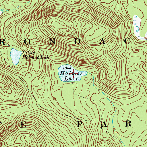 Topographic Map of Holmes Lake, NY