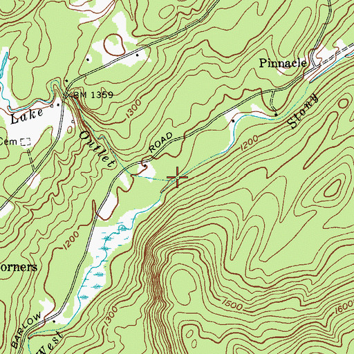 Topographic Map of Holmes Lake Outlet, NY