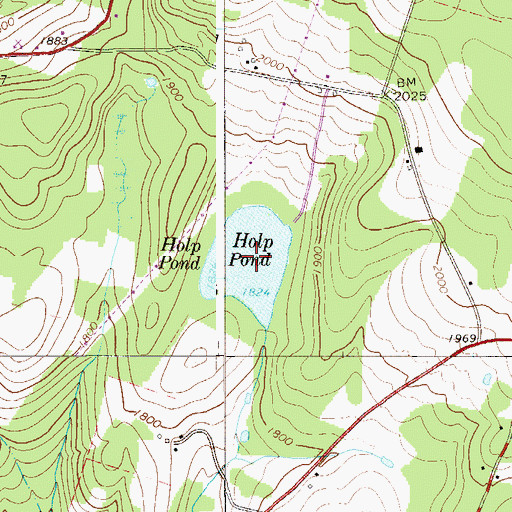 Topographic Map of Holp Pond, NY