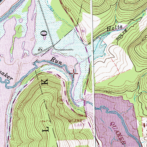 Topographic Map of Holts Run, NY