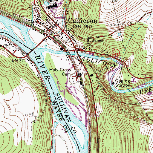 Topographic Map of Holy Cross Cemetery, NY
