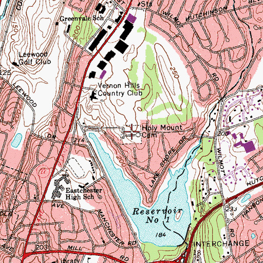 Topographic Map of Holy Mount Cemetery, NY