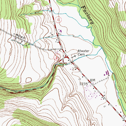 Topographic Map of Homer Gulf, NY