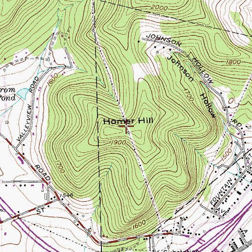Topographic Map of Homer Hill, NY