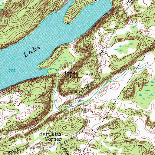 Topographic Map of Honey Hill, NY