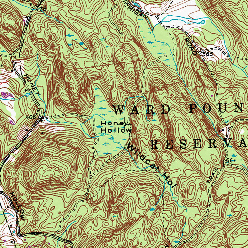 Topographic Map of Honey Hollow, NY