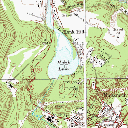 Topographic Map of Honk Lake, NY
