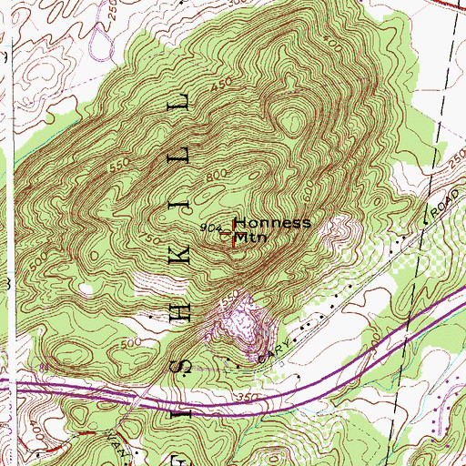 Topographic Map of Honness Mountain, NY