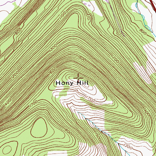Topographic Map of Hony Hill, NY