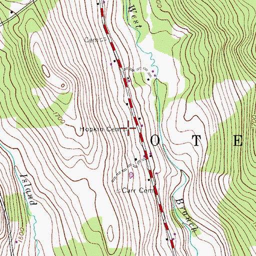 Topographic Map of Hopkins Cemetery, NY
