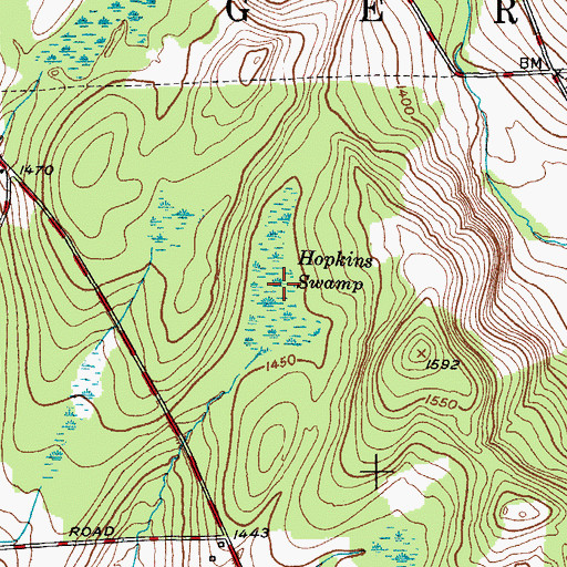 Topographic Map of Hopkins Swamp, NY