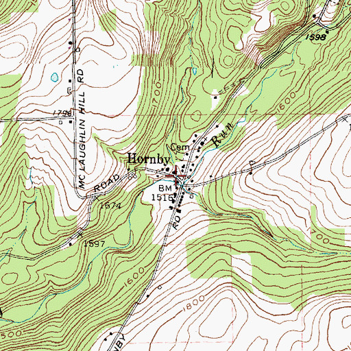 Topographic Map of Hornby, NY