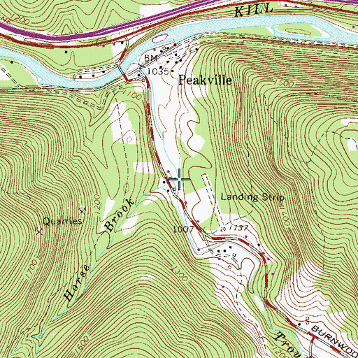 Topographic Map of Horse Brook, NY