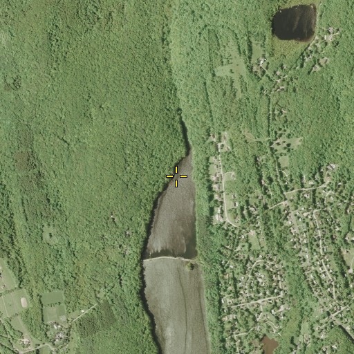 Aerial/Satellite Image of Horse Pound Brook, NY