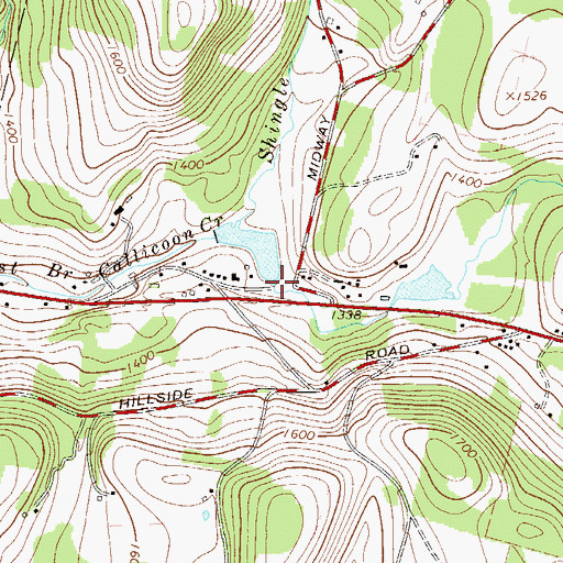 Topographic Map of Horseshoe Brook, NY