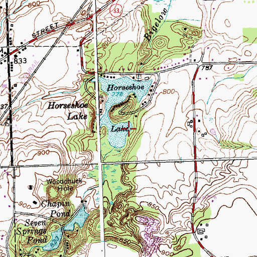 Topographic Map of Horseshoe Lake, NY