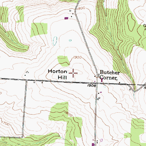Topographic Map of Horton Hill, NY