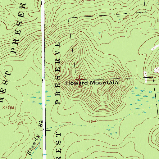 Topographic Map of Howard Mountain, NY