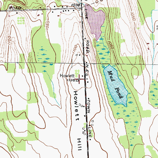 Topographic Map of Howlet Hill, NY