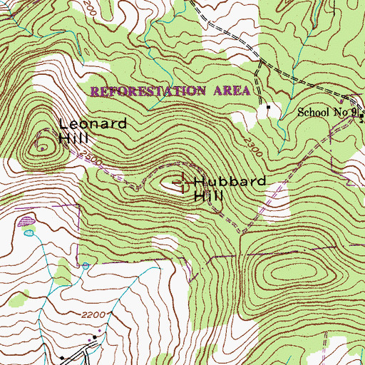 Topographic Map of Hubbard Hill, NY