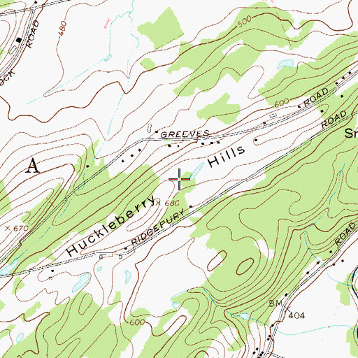 Topographic Map of Huckleberry Hills, NY