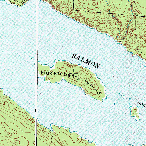 Topographic Map of Huckleberry Island, NY