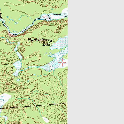 Topographic Map of Huckleberry Lake, NY