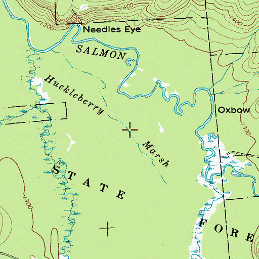 Topographic Map of Huckleberry Marsh, NY