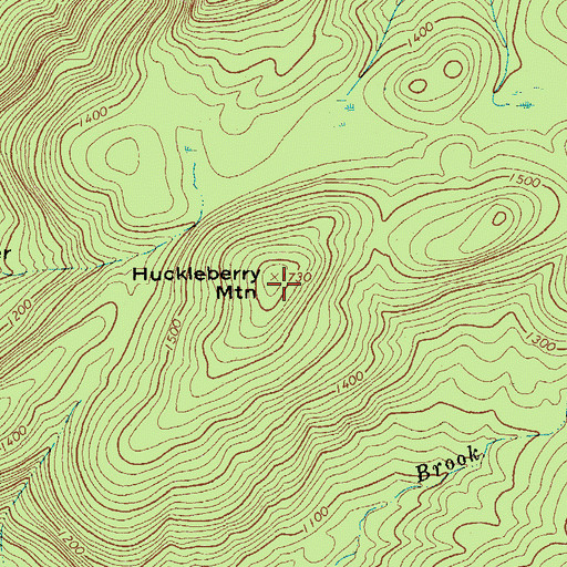 Topographic Map of Huckleberry Mountain, NY