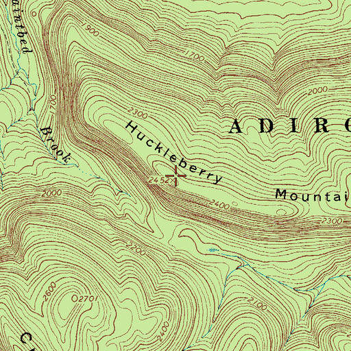 Topographic Map of Huckleberry Mountain, NY