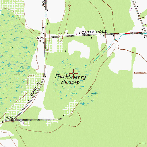 Topographic Map of Huckleberry Swamp, NY