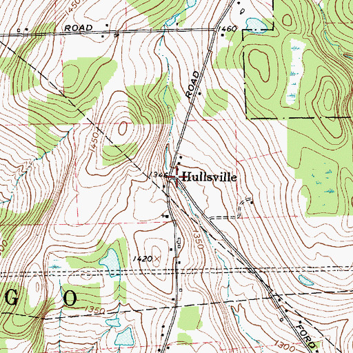 Topographic Map of Hullsville, NY
