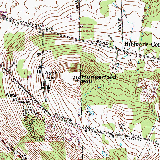 Topographic Map of Hungerford Hill, NY
