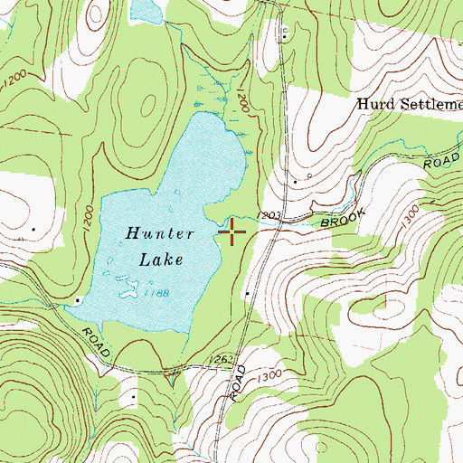 Topographic Map of Hurd Brook, NY