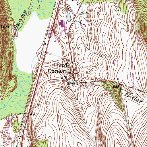 Topographic Map of Hurd Corners, NY