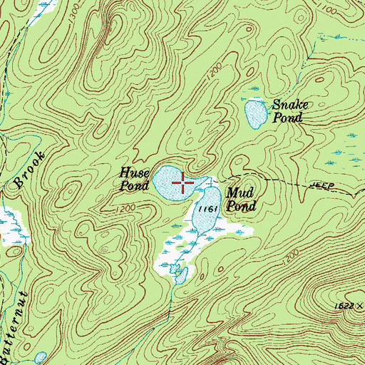 Topographic Map of Huse Pond, NY