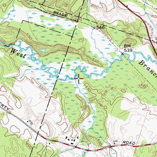 Topographic Map of Hyatt Branch, NY