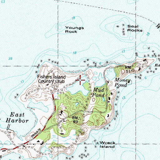 Topographic Map of Ice Pond, NY
