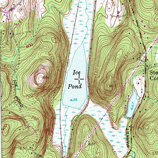 Topographic Map of Ice Pond, NY