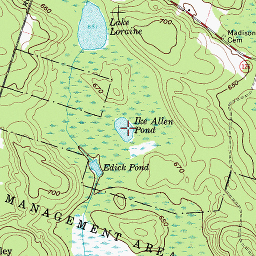 Topographic Map of Ike Allen Pond, NY