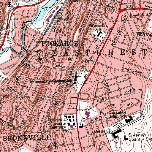 Topographic Map of Immaculate Conception School, NY