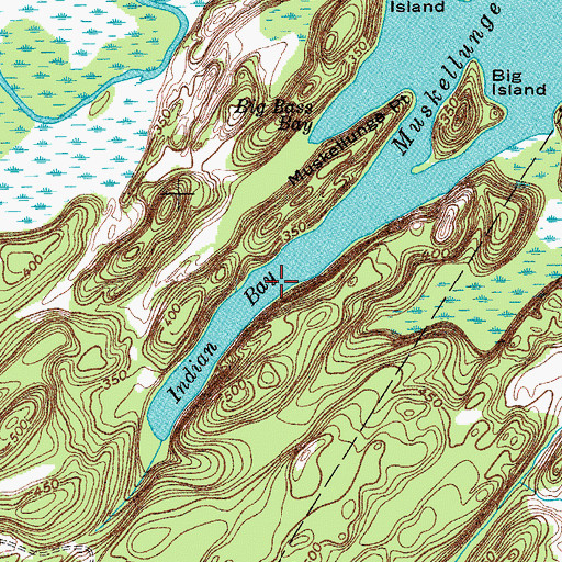 Topographic Map of Indian Bay, NY