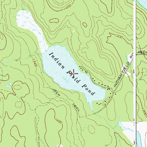 Topographic Map of Indian Field Pond, NY