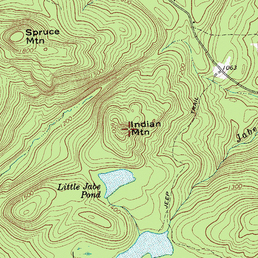 Topographic Map of Indian Mountain, NY